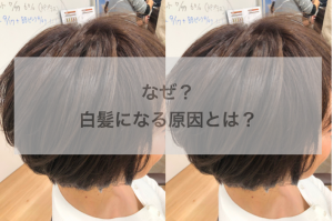 30代必見 これってもしや ファーストグレイ 白髪の原因と対処法 白髪染めにいつシフトチェンジ Garden 銀座美容師 寺尾拓巳の公式メディア