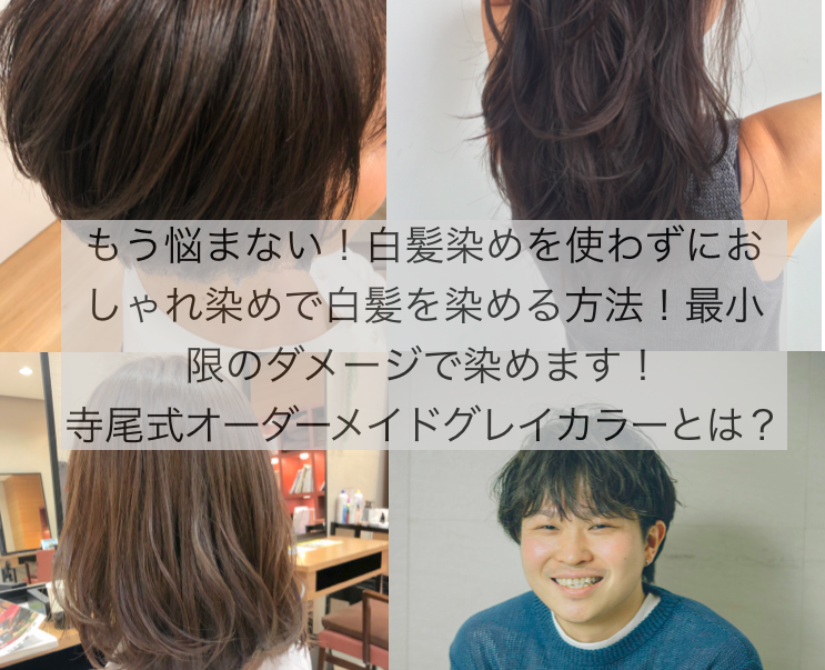 カラーリング・白髪染め Beginner スクリーンショット-2020-02-04-